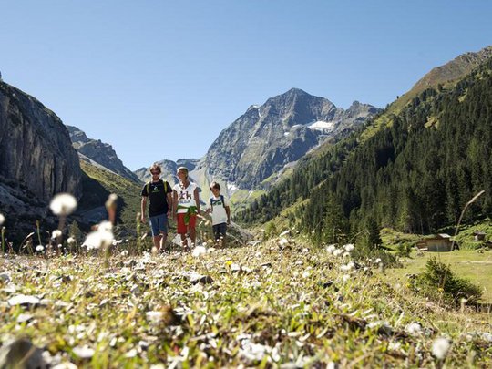 Qualitätszeit im Familienhotel im Stubaital Familie wandert im alpinen Tal mit Bergen und blühenden Wiesen bei Sonnenschein